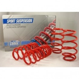 Volkswagen Golf Iv Cabriolet 1E|1Ez Cabrio 05/1998-2003 40Mm Fr 40Mm Rear