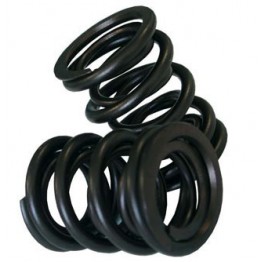 KIT MUELLES DE VÁLVULA   EXT R5 Turbo (pièce)