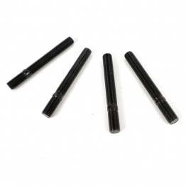 SET 4 ESPARRAGOS 10CM  OMP