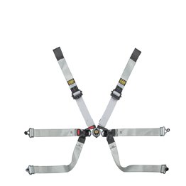 ANES OMP ONE-D 2 FORMULA
