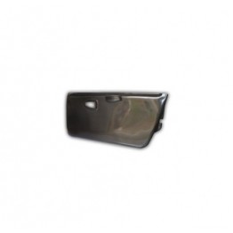 PANELES PUERTA CLIO 2 CARB