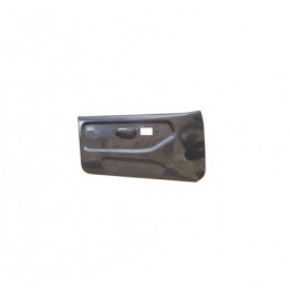 PANELES PUERTA 306 CARBON