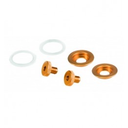 TORNILLOS ST5/VENTI WRX VISOR DORADO