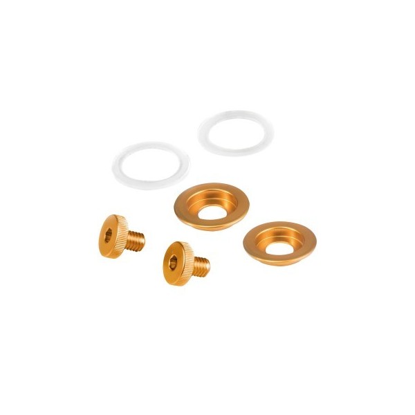 TORNILLOS ST5 VISERA DORADO