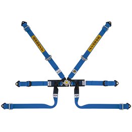 ARNES SABELT SILVER FORMULA AZUL
