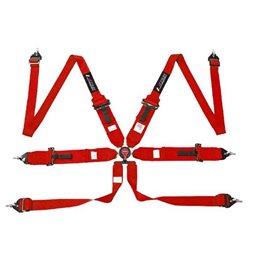 PACK 2 ARNES FIA NS ROJO